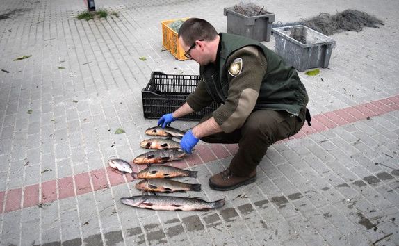 Zachodniopomorskie działania prewencyjne &quot; SIEĆ&quot;