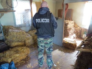 policjant w pomieszczeniu z nielegalnym tytoniem