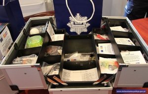 polsko-czeski, policyjny projekt profilaktyki uzależnień