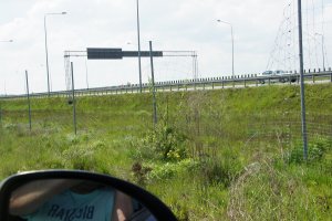 Policjanci zapobiegli kibolskiej napaści na autostradzie