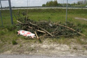 Policjanci zapobiegli kibolskiej napaści na autostradzie