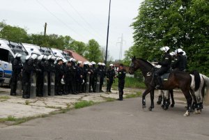 Atestacja policyjnych koni