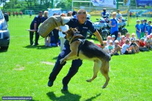 II Charytatywny Turniej Piłki Nożnej Policji Dolnośląskiej wygrała Malwinka