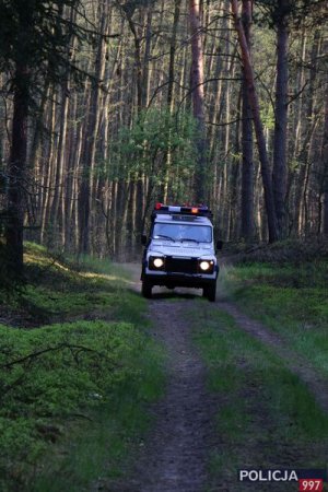 IV Ogólnopolskie Manewry Poszukiwawczo - Ratownicze Kampinos 2017