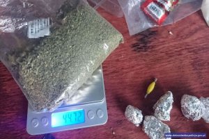 Zlikwidowana plantacja konopi indyjskich