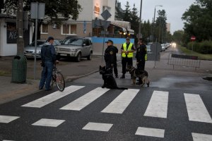 Policjanci czuwali nad bezpieczeństwem podczas ostatniego meczu UEFA EURO U21