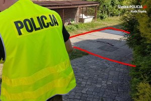 Policjanci z Rudy Śląskiej zlikwidowali podziemną uprawę konopi indyjskich