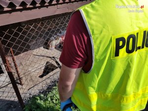 Policjanci z Rudy Śląskiej zlikwidowali podziemną uprawę konopi indyjskich