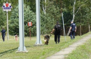 ćwiczenia służb