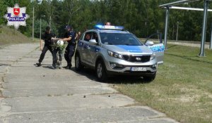 ćwiczenia służb