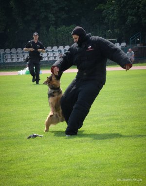 Centralne obchody Święta Policji 2017