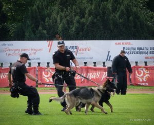Centralne obchody Święta Policji 2017