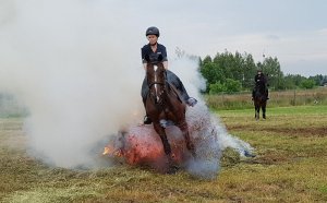 Ćwiczenia policji konnej