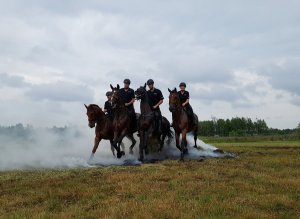 Ćwiczenia policji konnej