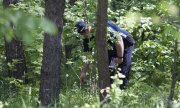 policjant poszukuje zaginionego w lesie