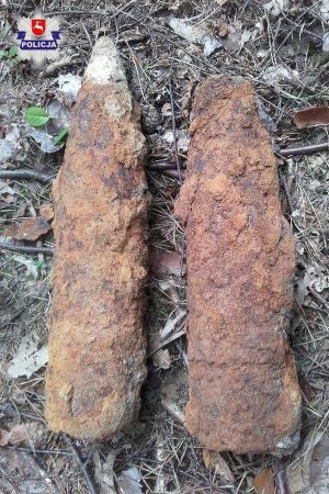 odnalezione niewybuchy - dwa pociski artyleryjskie leżące na leśnej ściółce pokryte rudą rdzą