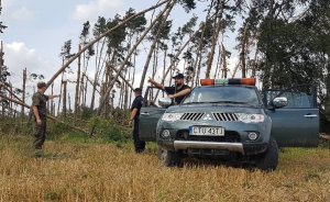 Policjanci oddziałów prewencji w służbie mieszkańcom terenów spustoszonych nawałnicą