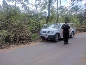 Policjanci oddziałów prewencji w służbie mieszkańcom terenów spustoszonych nawałnicą