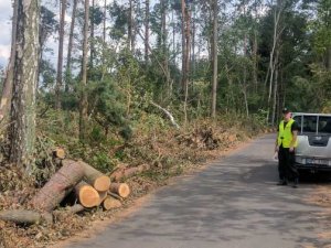 Policjanci oddziałów prewencji w służbie mieszkańcom terenów spustoszonych nawałnicą