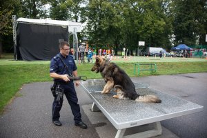 Piknik edukacyjny &quot;Bezpieczna Szkoła- bezpieczny powrót z wakacji&quot;