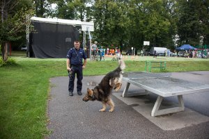 Piknik edukacyjny &quot;Bezpieczna Szkoła- bezpieczny powrót z wakacji&quot;