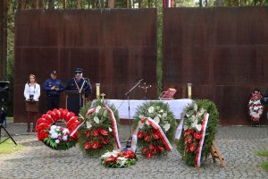 17 rocznica otwarcia Polskiego Cmentarza Wojennego w Miednoje