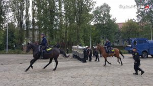 Wspólne ćwiczenia pododdziału prewencji i policyjnych jeźdźców