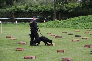 XVII Finał Kynologicznych Mistrzostw Policji