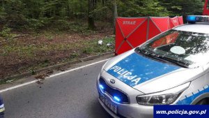 policjanci zabezpieczają miejsce wypadku