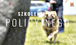 Napis Szkolenie psa policyjnego na rozmytym tle