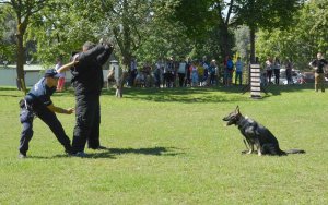 Jarma od 2 lat służąca w Policji