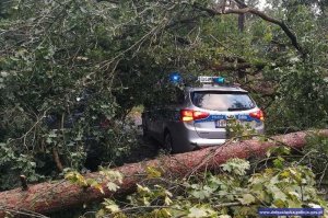 Policjanci pomagają przy usuwaniu skutków Orkanu Ksawery