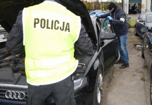 policjanci wykonują czynności