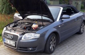 Kryminalni zabezpieczyli audi
