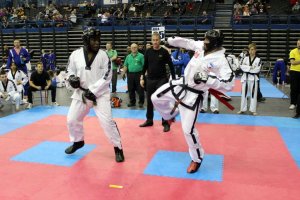 Policjanci z Brzegu na zawodach Taekwon-do w Anglii