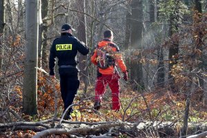 Ćwiczenia „Grzybiarz” na pograniczu polsko-czeskim