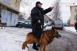 policjant z psem