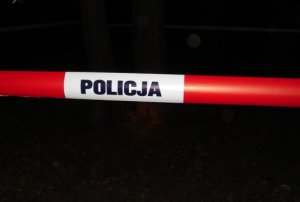 policja