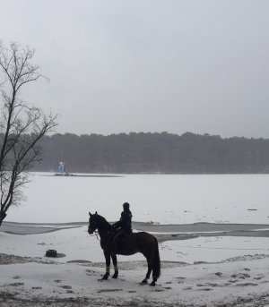 policjant na koniu patroluje teren przywodny