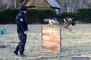 Międzynarodowe Zawody Kynologiczne w Czechach