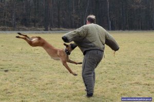 Międzynarodowe Zawody Kynologiczne w Czechach