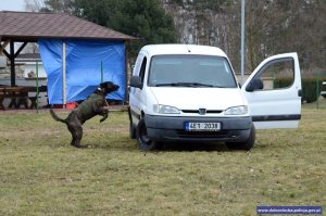 Międzynarodowe Zawody Kynologiczne w Czechach