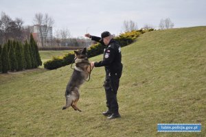 Międzynarodowe Zawody Kynologiczne w Czechach