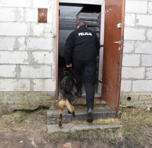 policjant z psem na posesji poszukują narkotyków