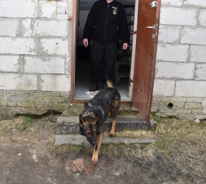 policjant z psem na posesji poszukują narkotyków