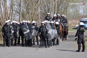 policjanci na koniach podczas ćwiczeń