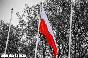 Policjanci w hołdzie Konstytucji 3-go Maja