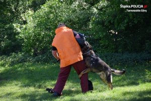 Szkolenie policyjnych psów