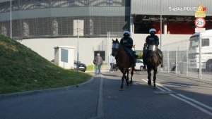 Policyjne zabezpieczenie meczu w Tychach
