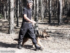 policjant z psem służbowym w trakcie poszukiwań